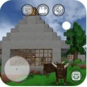 Mini Block Craft