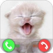 Tiny Cat Call Prank